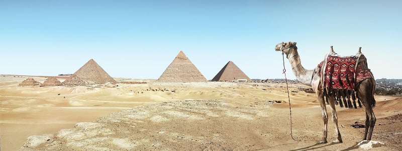 Archaeology