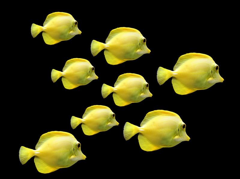 Underwater World